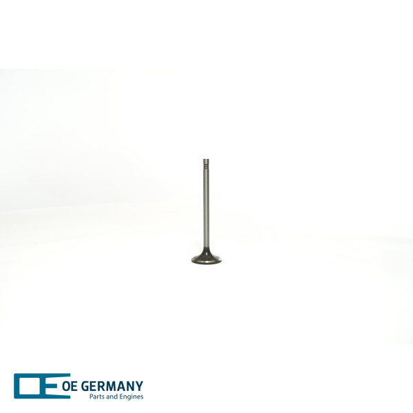 040520201600, Sací ventil, Ventil sací IN (1), OE Germany, 12344090, 12344649